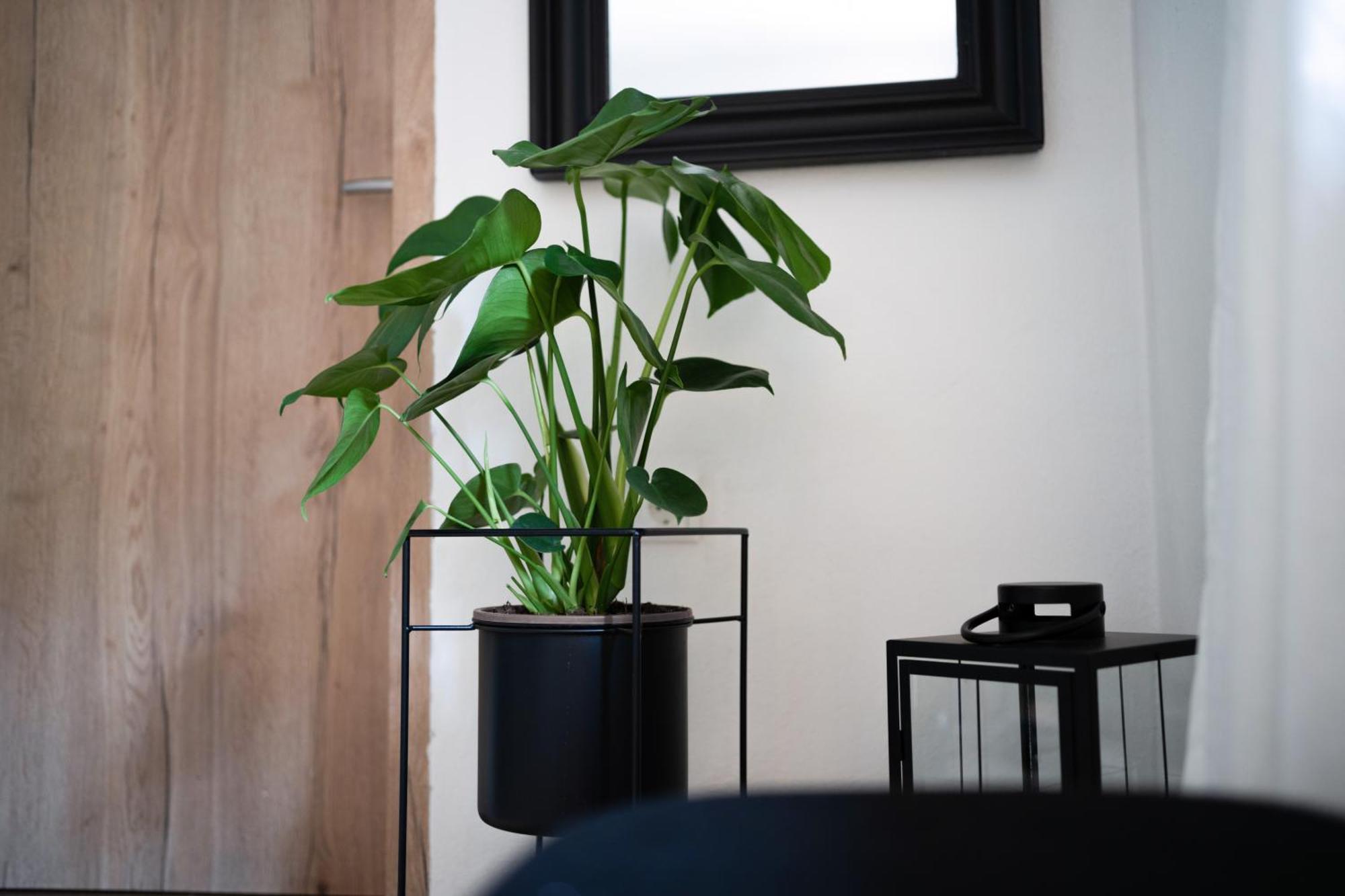 Ferienwohnung Am Siglhof 자마베르크 외부 사진